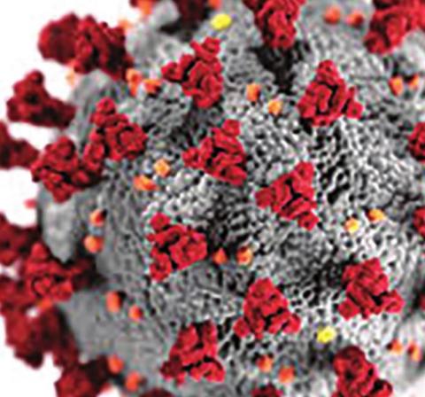 Weekly Coronavirus Updates