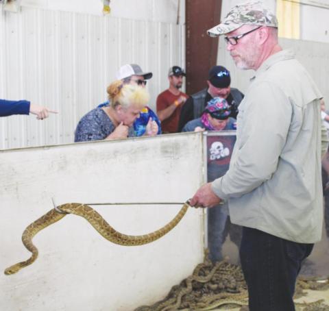 Thousands Flock to Okeene For Return of Rattlesnake Roundup
