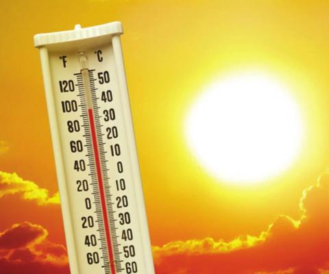 We're Having A Heat Wave