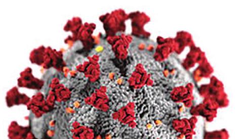 State Passes 263K Coronavirus Cases