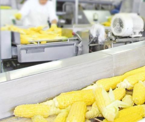 Impacts of Covid-19 on Oklahoma’s Food Industry