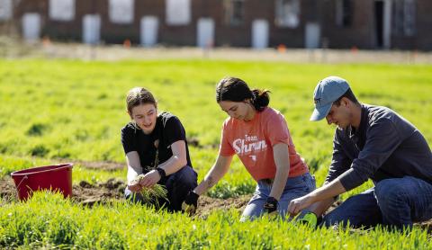 OSU Student Farm Fills Food Bank Shelves