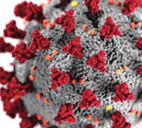Weekly Coronavirus Updates