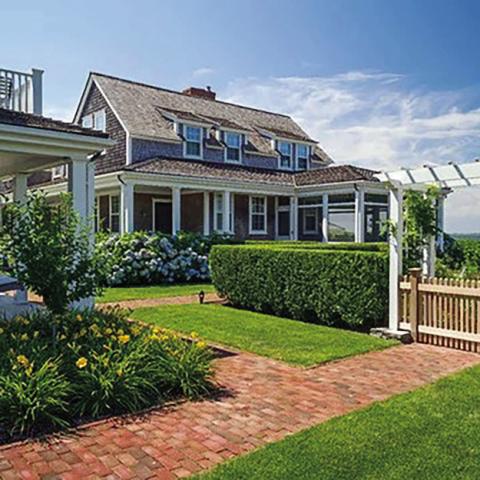 Enhance Your Winter Landscape
