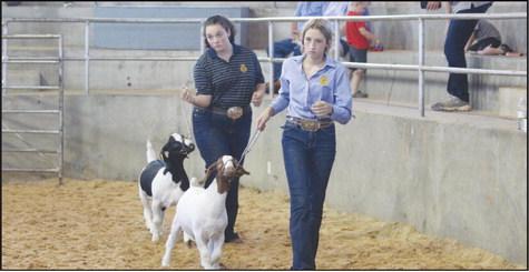 Blaine County Fair Slated  for This Weekend