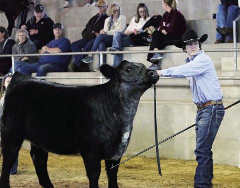 Scenes From Local Show