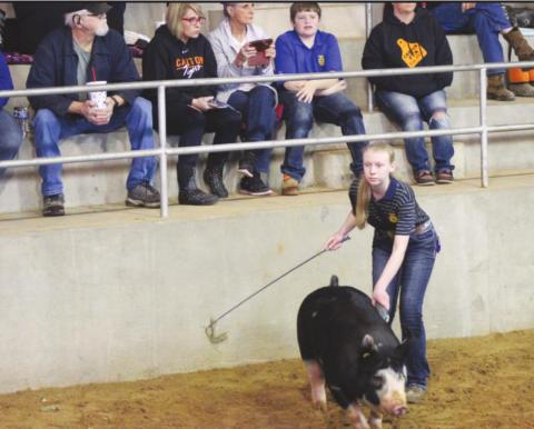Blaine County Fair Planned
