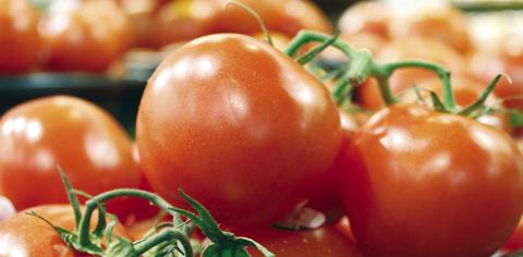 Apply Now for Local Foods for Schools