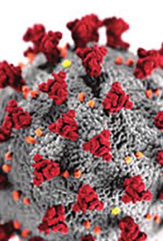 Weekly Coronavirus Updates