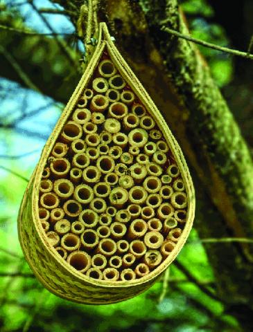 Bee Hotels Boost Native Bee Populations