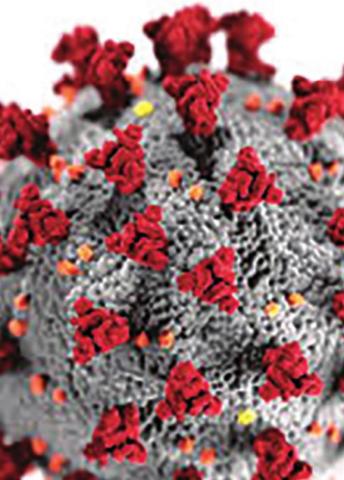 Weekly Coronavirus Updates