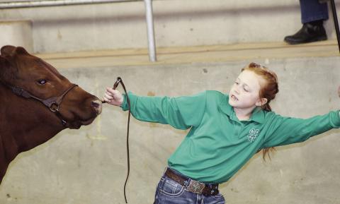 Celebrating Stock Shows Past