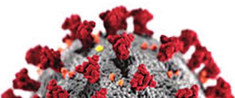 Weekly Coronavirus Updates