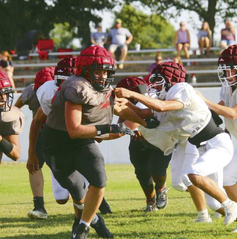 Bison Scrimmage
