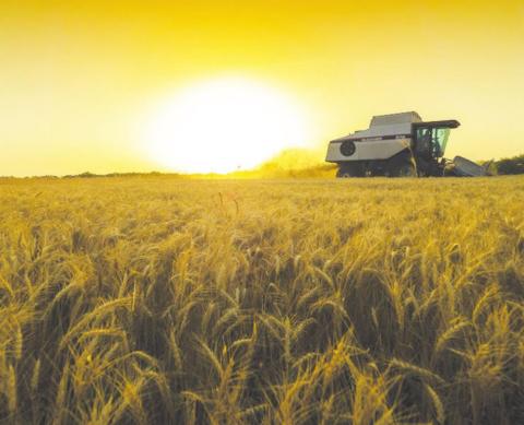 Wheat Harvest Recap: