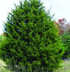 Red Cedar Water Conservation Bill Now Law