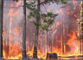 County Holds Fast on Burn Ban