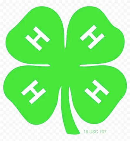 Calling All 4-H’ers