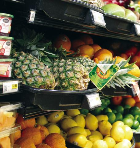 Spring Into Weight Control With Realistic Goals in Mind