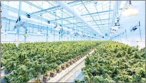 Although probably not state of the art as in this stock photo, the BCSO and more than 60 officers from the Attorney General’s specialized organized crime task force raided multiple grow houses in Western Blaine County May 21. Photo by Richard T Unsplash