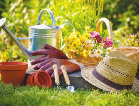 September Gardening Tips