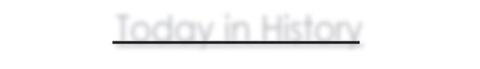 Alt Text for Image