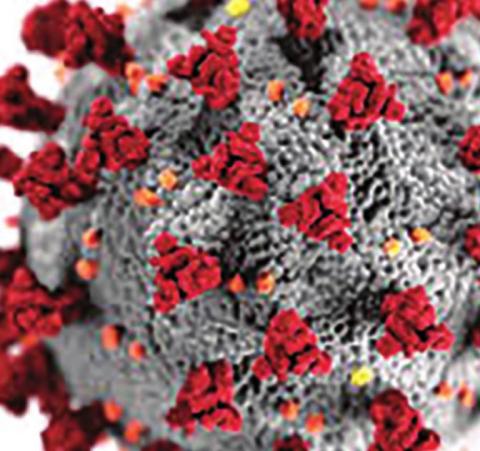 Weekly Coronavirus Updates