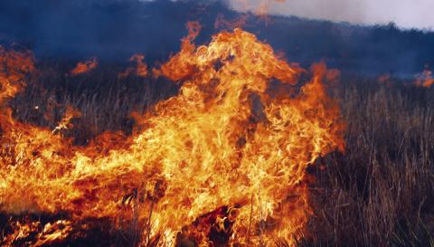 Strategic Priorities Strengthen Nation’s Wildfire Response