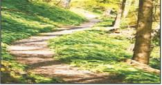 Trail Grants Open