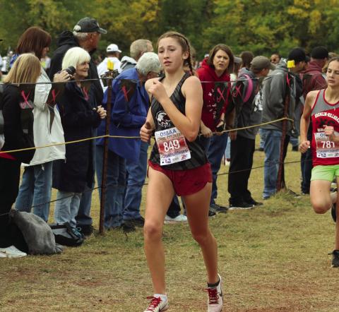 County Runners Represent at State