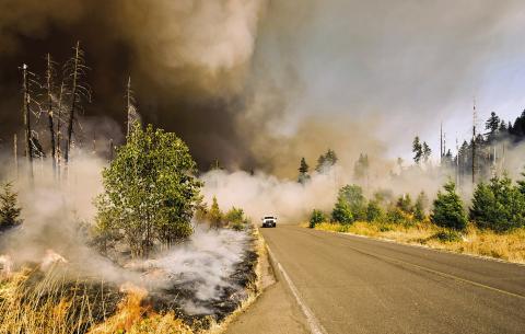 Forestry Service Urges Caution with Fireworks
