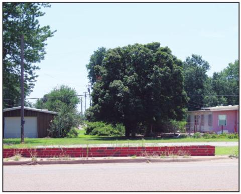 Connie Burcham | Watonga Republican