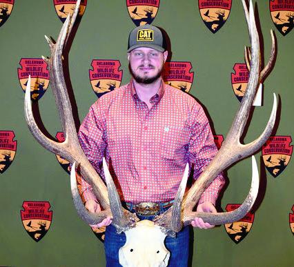 First 400 Class Elk Sets