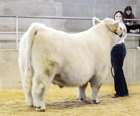 2024 Stock Show