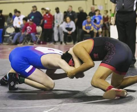 Great Things From Band & Wrestlers