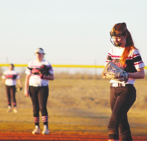 Area Softball, Baseball Updates