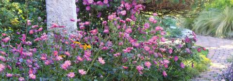 Proven Gardening Selections Revealed