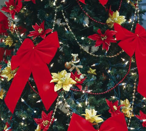 Get Ready For Some Sparkle