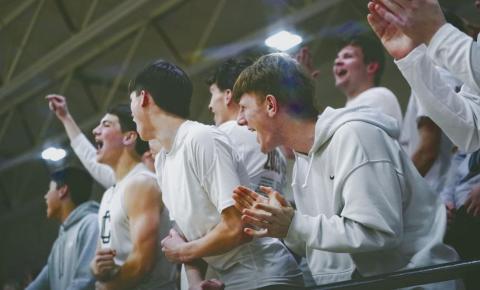 Playoff Shots