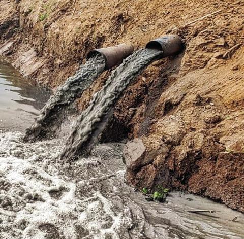 Bill Stops Damage From Grows