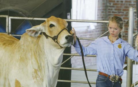 Blaine County Fair Highlights Kids