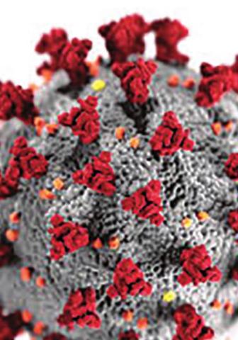 Weekly Coronavirus Updates