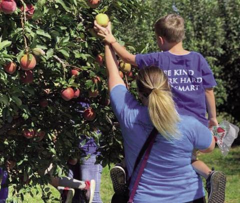 Livesay Orchards in Porter is known for its fruit and you pick operations.