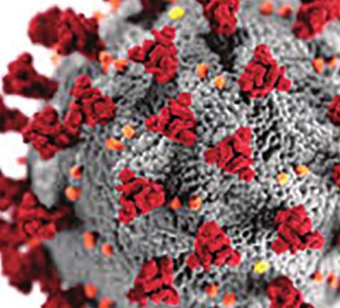 Weekly Coronavirus Updates