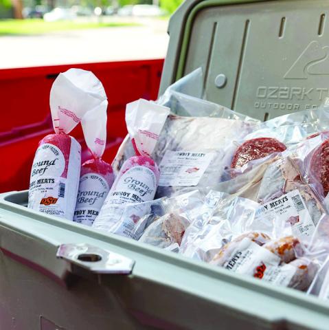 ABOVE: When packing foods in a cooler for a picnic or cookout, include plenty of ice or frozen gel packs to keep foods at 40 F or below. Keep drinks in a separate cooler. ( Photo by Mitchell Alcala, OSU Agriculture)