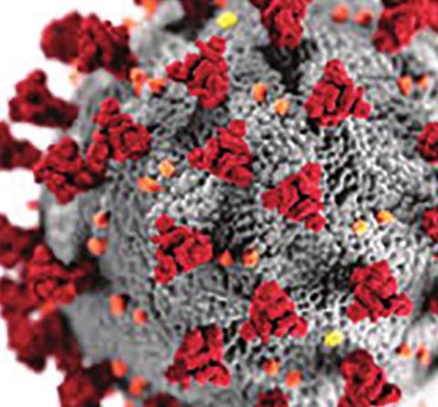 Weekly Coronavirus Updates