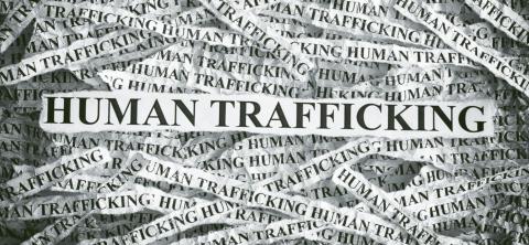 Sting Operation Nets Two