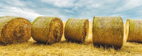 Spontaneous Combustion a Possibility with Wet Hay