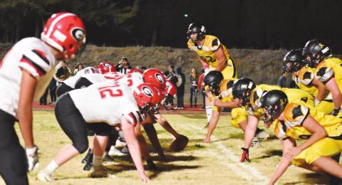 Bison Bound for Playoffs